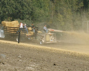 FINN Straw Blower in application